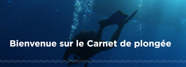 Carnet de plongée en ligne